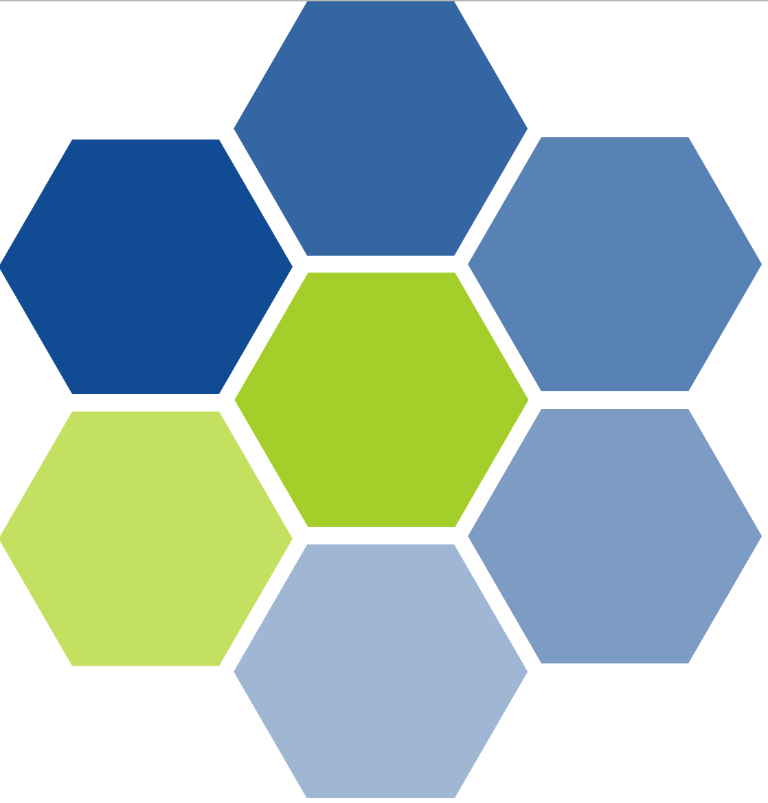 Nicola Raschendorfer Logo